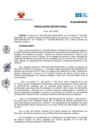 Vista preliminar de documento ResSec2020_033