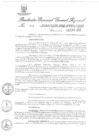 Vista preliminar de documento 7038690_RGGR-001-2020