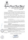 Vista preliminar de documento 218656_RGGR-33-2020