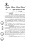 Vista preliminar de documento 2514729_RGGR-82-2020