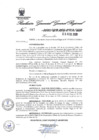 Vista preliminar de documento 911432_RGGR-87-2020
