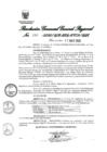 Vista preliminar de documento 317137_RGGR-156-2020