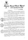 Vista preliminar de documento 221596_RGGR-169-2020