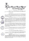 Vista preliminar de documento 3134414_RGGR-101-2020
