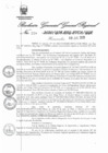 Vista preliminar de documento 810417_RGGR-228-20--