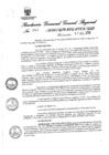 Vista preliminar de documento 453617_RGGR-243-2020
