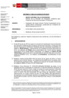 Vista preliminar de documento inf-DEAR-863-2019-RD-177