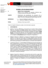 Vista preliminar de documento inf-DEAR-376-2019-RD-075