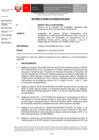 Vista preliminar de documento inf-DEAR-098-2019-RD-021