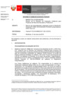 Vista preliminar de documento inf-DEAR-058-2019-RD-013