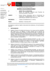 Vista preliminar de documento inf-DEAR-030-2019-RD-005