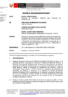 Vista preliminar de documento inf-DEIN-00424-2020-RD-00064
