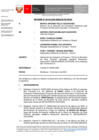 Vista preliminar de documento inf-DEAR-184-2020-RD-55