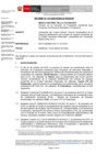 Vista preliminar de documento inf-DEAR-115-2020-RD-034