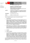 Vista preliminar de documento inf-DEAR-113-2020-RD-033