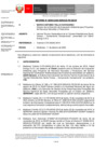Vista preliminar de documento inf-DEAR-099-2020-RD-029