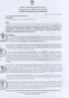 Vista preliminar de documento Acuerdo de Concejo Nº 033-2020-MDSB