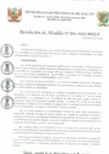 Vista preliminar de documento R.A. 004-2020