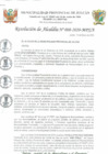 Vista preliminar de documento R.A. 008-2020
