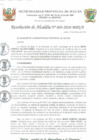 Vista preliminar de documento R.A. 009-2020