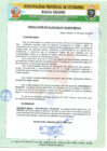 Vista preliminar de documento RESOLUCIÓN DE ALCALDÍA N° 49-2020-MPU-A