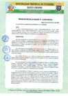 Vista preliminar de documento RESOLUCIÓN DE ALCALDÍA N° 1-2020-MPU-A