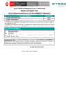 Vista preliminar de documento Resultados de fichas de postulación