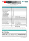 Vista preliminar de documento Resultados de fichas de postulación