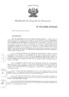 Vista preliminar de documento N°034-2008-APN-DIR