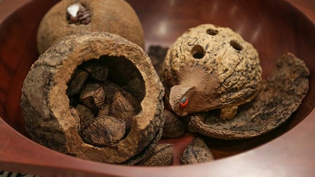 castaña
