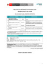 Vista preliminar de documento Resultados de fichas de postulación