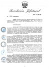 Vista preliminar de documento R.J.-N.°-120-2020-INDECI