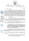 Vista preliminar de documento R.J.-N.º-095-2020-INDECI