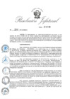 Vista preliminar de documento RJ-Nº-208-2019