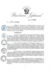 Vista preliminar de documento R.J.-N.°-195-2019