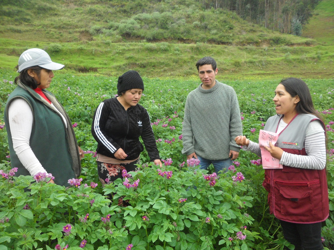 Peru noticias