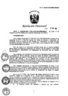 Vista preliminar de documento RD132-2016-CENARES-MINSA