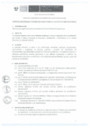 Vista preliminar de documento Anexo-Resolución-N°393-2017-Directiva