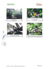 Vista preliminar de documento RDE_N°_0004-2019-MINAGRI-SERFOR-DE501A541-1