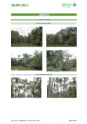Vista preliminar de documento 0121-2019-MINAGRI-SERFOR-DE301A350-1