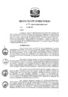 Vista preliminar de documento RD 142-2020