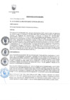 Vista preliminar de documento ORDENANZA N°439-2020-MDL