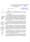 Vista preliminar de documento Res-010-2018-PE-SSE