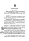 Vista preliminar de documento 450-2017-SENACE-DRA