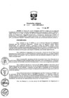 Vista preliminar de documento Resolucion-Jefatural-SENACE-049-2017
