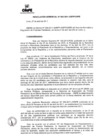 Vista preliminar de documento RG-002-2011-GSFP