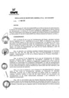 Vista preliminar de documento RSG-020-2013