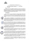 Vista preliminar de documento RG-009-2015-GG