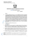 Vista preliminar de documento RCONAS-439-2020-PRODUCE-CONAS-UT