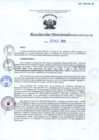 Vista preliminar de documento R.D.91-2015-OA